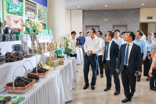 Đưa khoa học và công nghệ về cơ sở: Từ chuyển giao công nghệ đến kiến tạo sinh kế