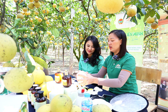 Phát triển nông nghiệp xanh nâng tầm kinh tế nông thôn
