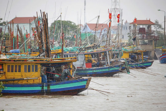 Ứng phó bão số 1: Không cấp phép tàu thuyền vào vùng nguy hiểm