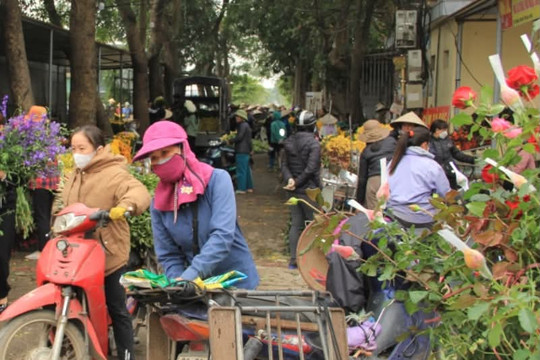 Chuyển biến tích cực về trật tự đô thị tại vựa hoa Mê Linh