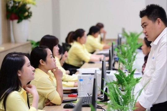 Các trường hợp được xét tuyển, ưu tiên và tiếp nhận vào viên chức