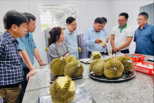Sửa đổi Nghị định 38: Gỡ điểm nghẽn, giảm thủ tục để nông sản Việt tăng sức cạnh tranh
