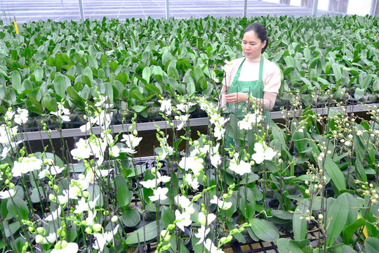 Khẳng định vai trò chủ thể trong xây dựng nông thôn mới