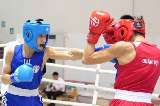 Giữ mạch phát triển cho boxing nam Hà Nội