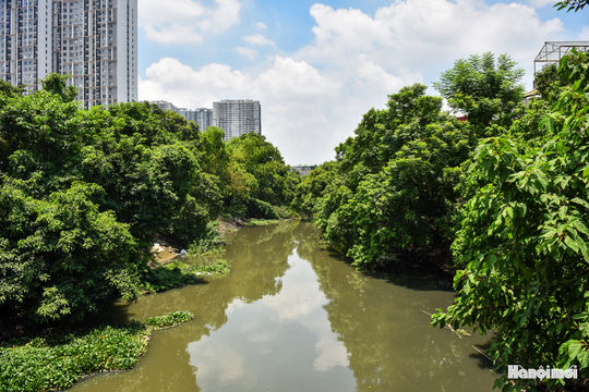 Sông Nhuệ trước ngày cải tạo