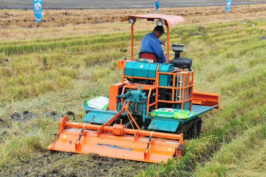 Giá phân bón tăng cao, nông dân chịu áp lực kép