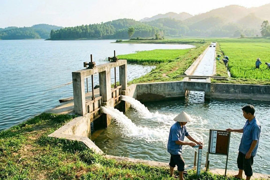 Hợp tác xã Đa Phúc đóng góp tích cực cho sản xuất nông nghiệp, phát triển kinh tế