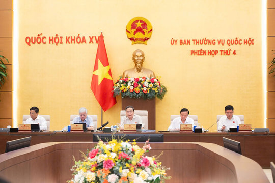 Thông qua về nguyên tắc cho hoạt động phối hợp giám sát việc thực hiện điều ước, thỏa thuận quốc tế
