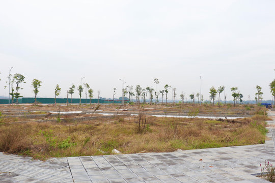 Đấu giá đất đã qua thời kỳ phải mua bằng mọi giá