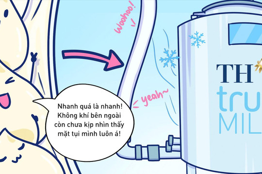 Hành trình khép kín hoàn hảo của giọt sữa tươi sạch TH true MILK