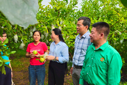 Khơi dậy những mô hình kinh tế hiệu quả từ nguồn vốn Quỹ Hỗ trợ nông dân