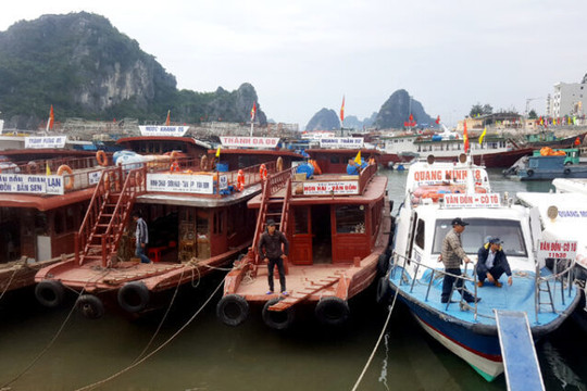 Khẩn trương di dời phương tiện neo gần cầu, phòng ngừa va trôi trong mưa lũ