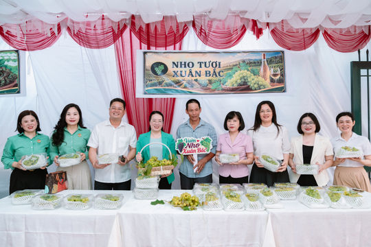 Hà Nội: Hỗ trợ nông dân đưa nông sản lên sàn thương mại điện tử