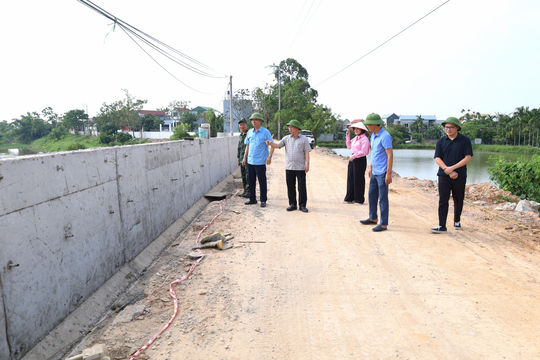 Đẩy nhanh thi công đê tả Bùi, hữu Đáy