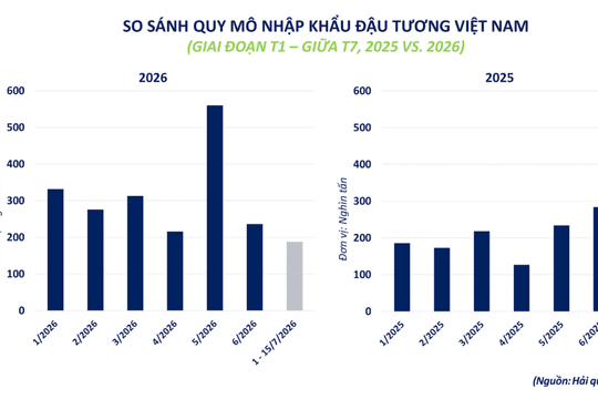 Cà phê, đậu tương tăng giá, MXV-Index tiến sát mốc 2.800 điểm