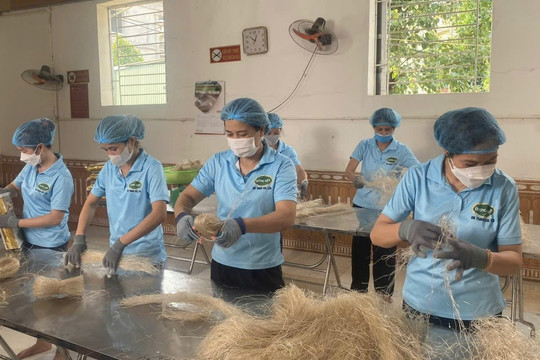 Mở rộng chuỗi liên kết, nâng tầm nông sản Thủ đô trên thị trường xuất khẩu