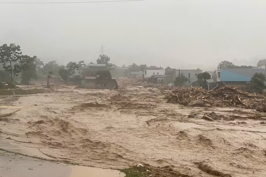 Bộ Giáo dục và Đào tạo yêu cầu các cơ sở giáo dục chủ động ứng phó mưa lũ, sạt lở đất