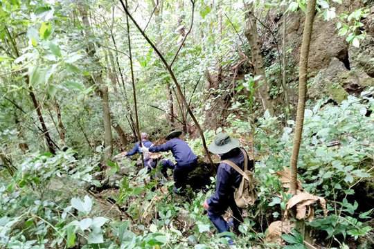 Những vuông đất in hình hài người lính