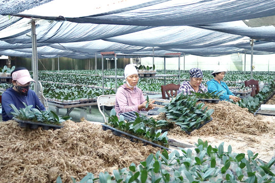 Chương Mỹ hướng tới “vành đai xanh thông minh”