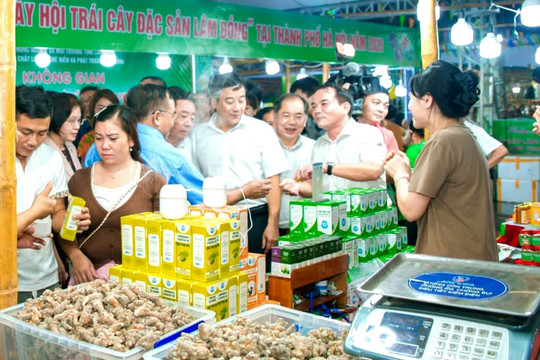 Liên minh Hợp tác xã thành phố Hà Nội: Nâng cao năng lực quản trị, kinh doanh cho cán bộ hợp tác xã