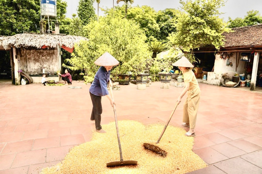 Đột ngột yếu chân tay sau ngày làm việc dưới nắng gắt