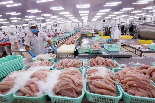 Thuế đang trở thành “thước đo” trách nhiệm chuỗi cung ứng