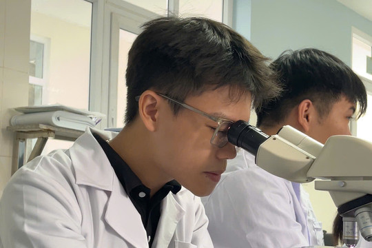 Nam sinh viên y khoa cứu du khách đuối nước