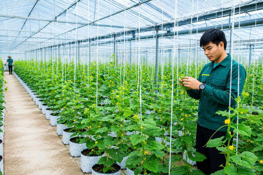 Tin tức đặc biệt trên ấn phẩm Hànộimới ngày 31-7-2026