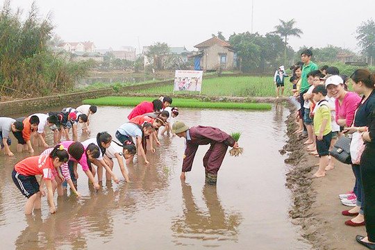 Định hình hướng đi bài bản, khoa học cho mô hình “nông thôn sáng tạo”