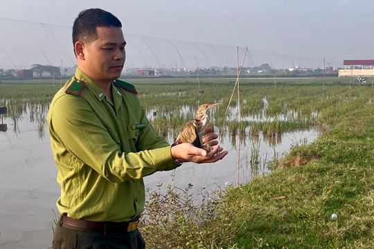 Hà Nội: Tăng cường bảo vệ động vật hoang dã nguy cấp, quý hiếm