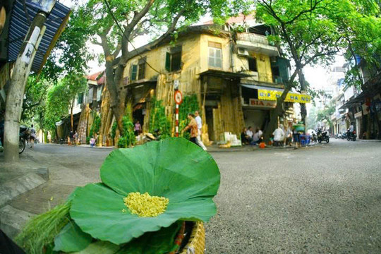 [Ca khúc] Thu Hà Nội