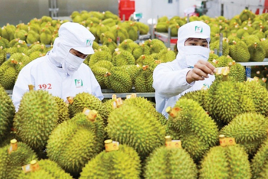 Tiếp đà tăng trưởng xuất khẩu nông sản