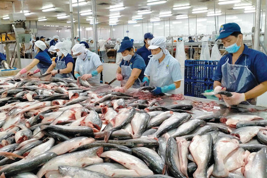 Vượt rào cản, nông sản hướng tới mốc 74 tỷ USD