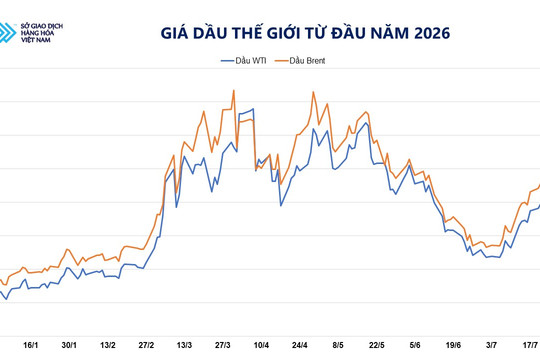 Giá dầu giảm mạnh, MXV-Index giảm ba phiên liên tiếp