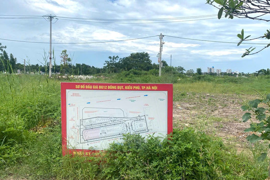 Xã Kiều Phú: Vì sao người trúng đấu giá đất ở lại thấp thỏm về quy hoạch?