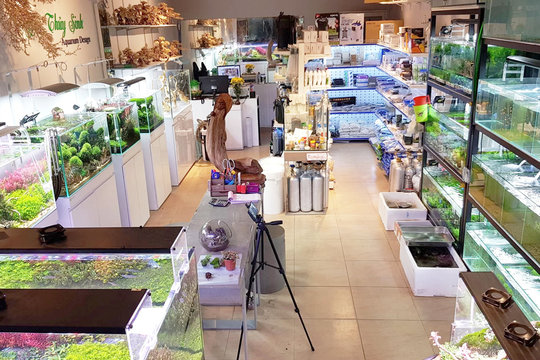 Thành phố Hà Nội có 92 cơ sở sản xuất, kinh doanh thủy sinh vật làm cảnh