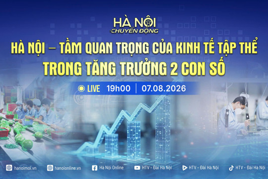 [Trực tiếp] Chương trình "Hà Nội chuyển động" ngày 7-8: Hà Nội - Tầm quan trọng của kinh tế tập thể trong tăng trưởng 2 con số
