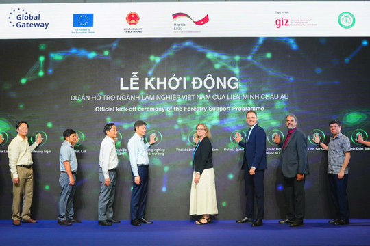 EU hỗ trợ Việt Nam phục hồi và quản lý bền vững rừng tự nhiên
