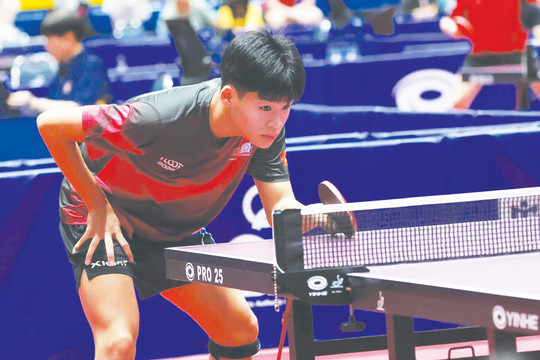 Đại hội Thể thao toàn quốc lần thứ X năm 2026: Phép thử cho bóng bàn Hà Nội