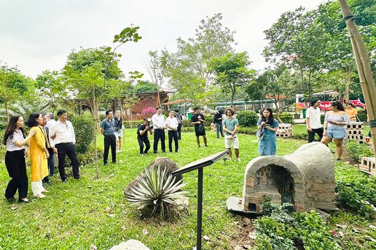 Nông thôn sáng tạo trong Thành phố sáng tạo