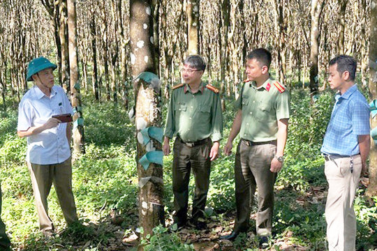 Quy định về nguyên tắc kết hợp an ninh với kinh tế - xã hội