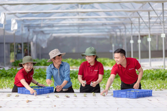 Agribank tiên phong triển khai chương trình tín dụng ưu đãi 70.000 tỷ đồng hướng đến các động lực tăng trưởng kinh tế