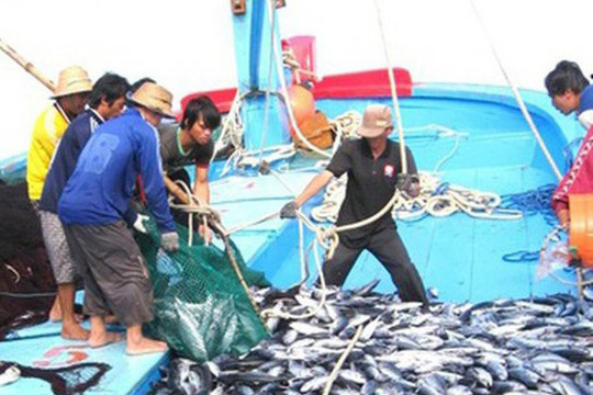 Kế hoạch khắc phục khuyến nghị của EC về chống khai thác IUU