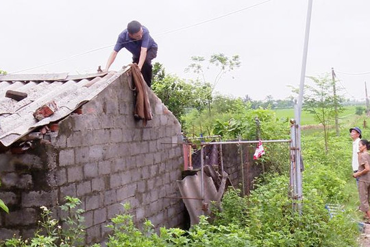 Ứng Hòa “không có vùng cấm” trong xử lý vi phạm công trình thủy lợi