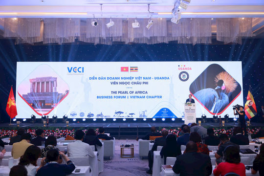 Tìm cơ hội mở rộng đầu tư giữa Việt Nam và “cửa ngõ” châu Phi