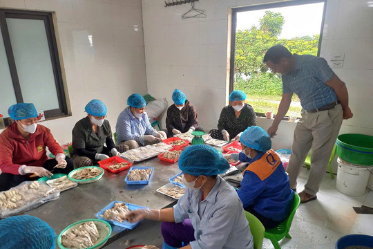 Gương sáng Thủ đô: Lão nông Đặng Văn Quý và hành trình biến vùng đất trũng thành vựa cá