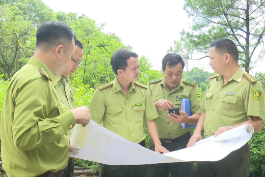 Hà Nội rà soát hiện trạng, làm cơ sở điều tra rừng