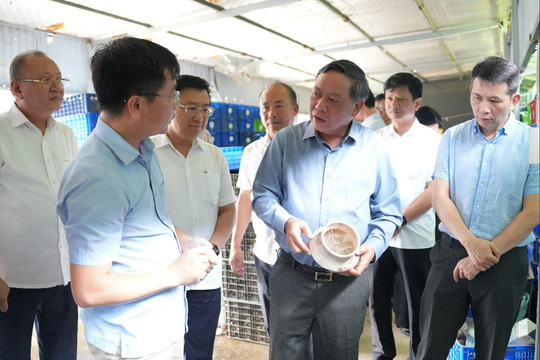 Vườn Chuối – Từ di chỉ khảo cổ đến không gian di sản của Thủ đô