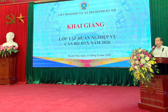 Tập huấn công tác quản lý và kiểm soát hợp tác xã tại các xã Thanh Oai, Tam Hưng, Bình Minh, Dân Hòa