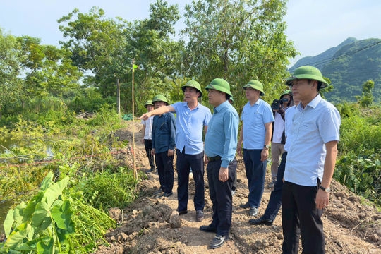 Hương Sơn bàn giao mặt bằng dự án đường Mỹ Đình - Ba Sao - Bái Đính sớm 7 ngày